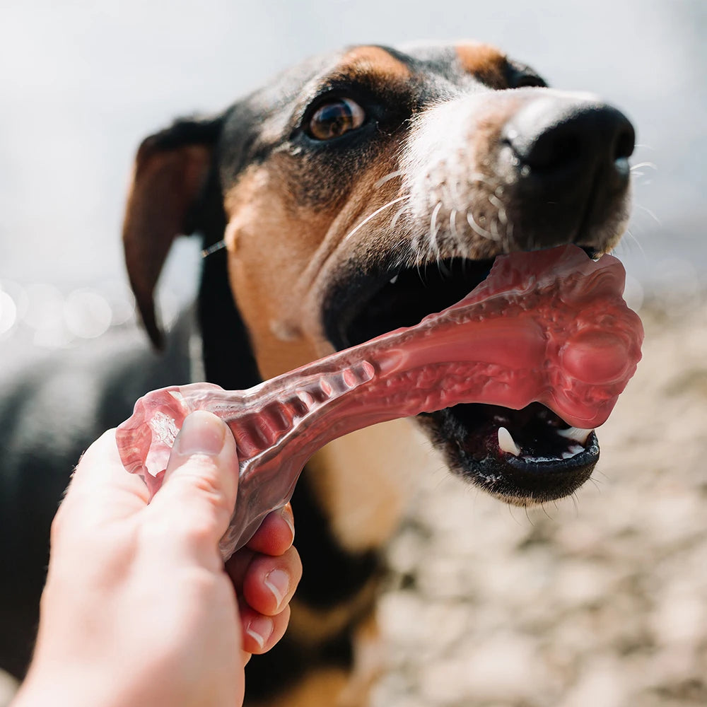 Large Dogs Bone-Shaped Indestructible Dog Toys, Teeth Cleaning.